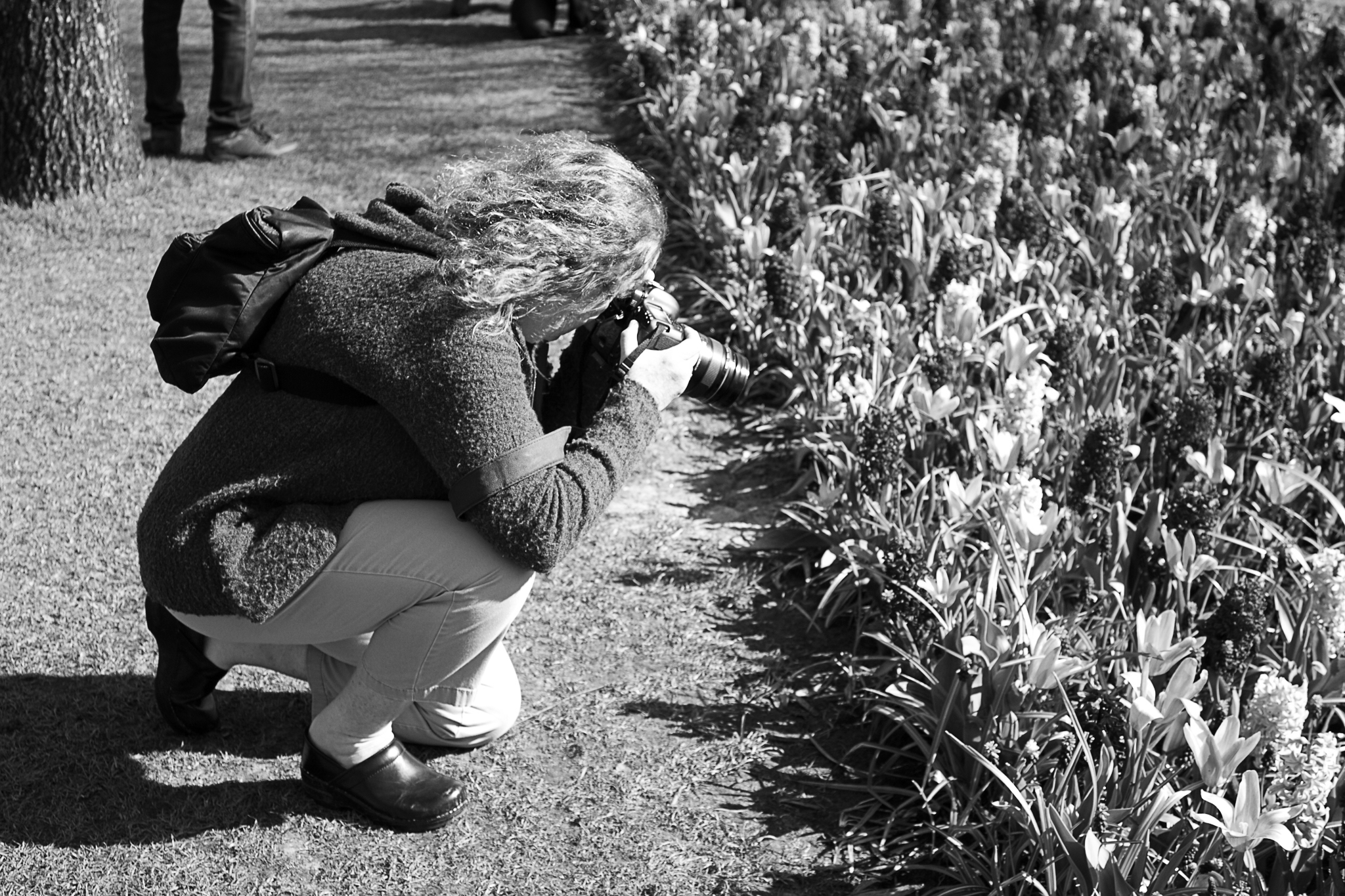 woman-taking-photographs-of-flowers-2023-11-27-05-18-17-utc